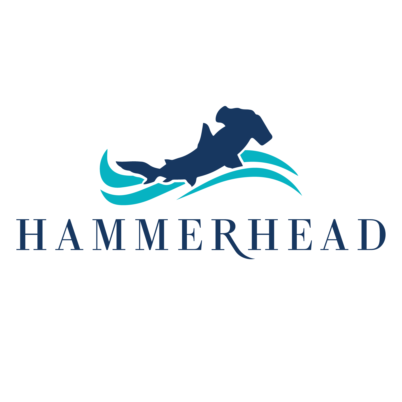 BHM_BAHABAY_LOGO_RGB_20210316_HAMMERHEAD